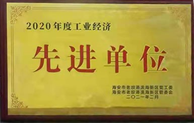 热烈祝贺我公司获得2020年“工业经济先进单位”称号