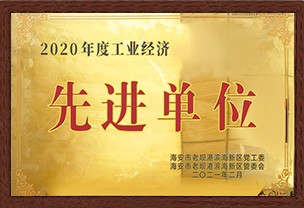 2020工业经济先进单位